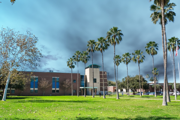 Colleges In Harlingen Texas